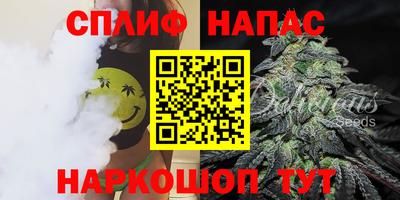 сатива Гусиноозёрск