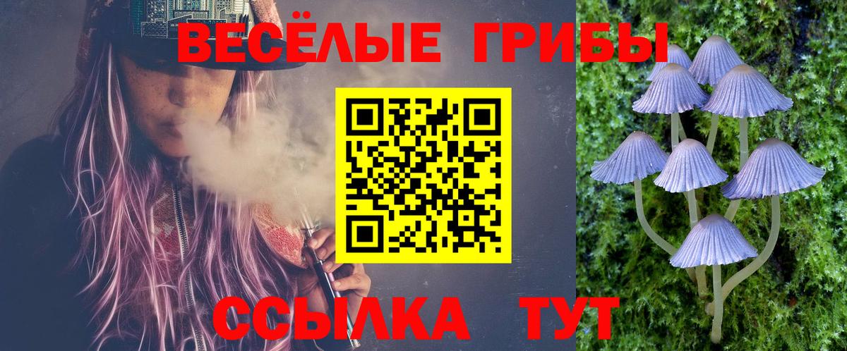 Галлюциногенные грибы мицелий Карасук